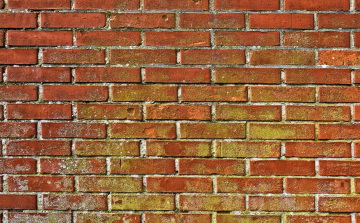 Emberi vizeletből gyártanak téglákat