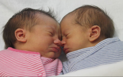 Györkös Emma Kata,Györkös Ádám Károly 