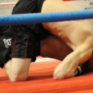 2013.03.31 Szombat IV.KOKO-GYM Küzdősport gála (1) fotók:árpika