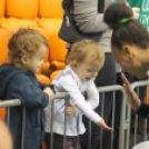 2020.01.05.Győri Audi ETO KC-Dunaújváros KKC női bajnoki mérkőzés