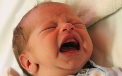 Szente Leila Julianna