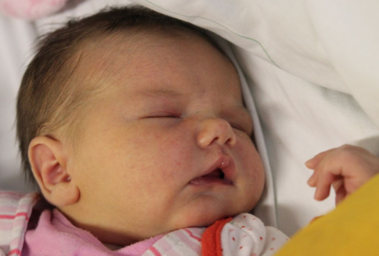 Wellesühtz-Nits Kamilla