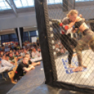 2015.05.09. Profi MMA Gála fotók:árpika