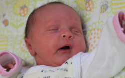 Bogdán Doroti Terézia 