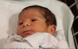 Vaganjan Vaham Auetik 