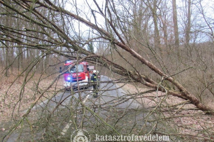 Sokat vonultak a tűzoltók a hétvégén