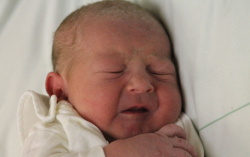 Baranyai Mercédesz Lotti