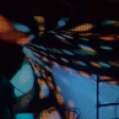 2013.11.01.Péntek lapos Halloween night Fotók:adrián