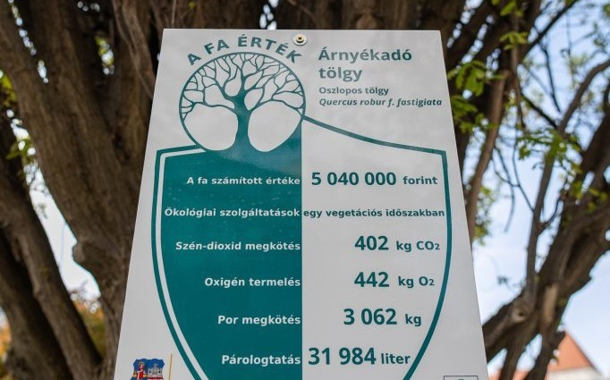 Két fa saját faértéktáblát kapott