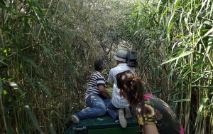 2016-ban is keresik Magyarország Ifjú Kócsagőrét