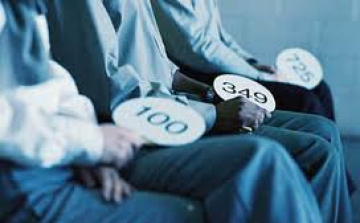 Rekordösszeget költöttek el tavaly a csehországi képzőművészeti árveréseken