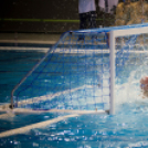 Vízilabda világbajnokok Győrben - photo Gombás Ákos