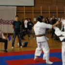 XIII. Győri Ashihara Karate Gála 2012.03.24. (szombat) (1) (Fotók: Josy)