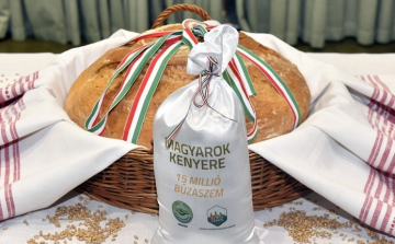 Magyarok Kenyere – Idén is meghirdetik a nagysikerű programot