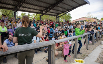 Gyermeknap a győri állatkertben