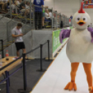 2017.07.24. EYOF 2017 Győr 1 nap Fotók:árpika 