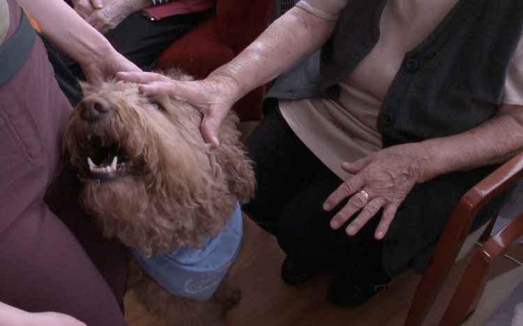 Nudlival teszik szebbé a napot