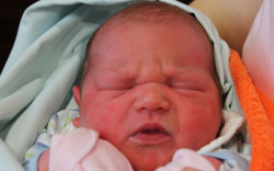 Werndorfer Zsuzsanna