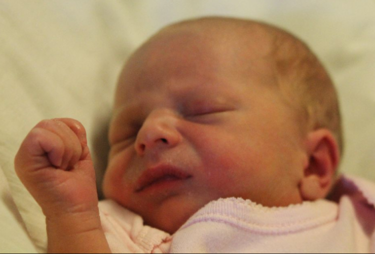 Horváth Júlia Panna 