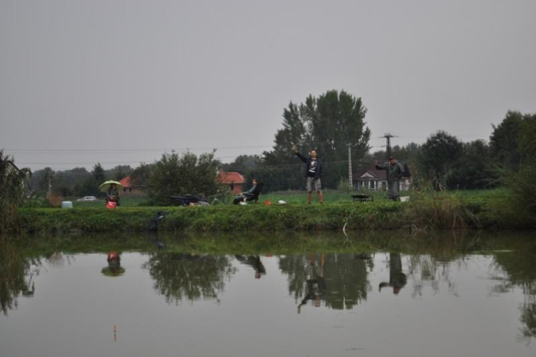IV. Győri Szuperinfó Családi Piknik és Amatőr Horgászverseny Fotó: Novák Attila