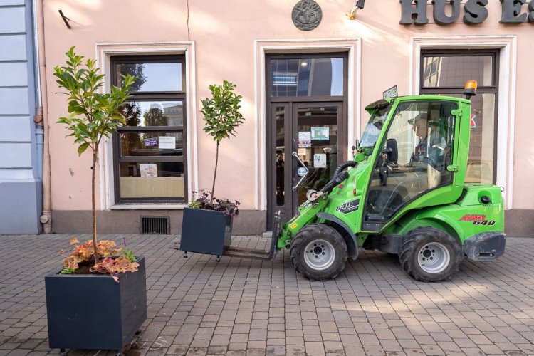 Újabb virágládába ültetett növényekkel szépült a belváros