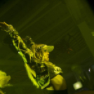 Mundo - Sterbinszky 2014.06.28. (szombat)