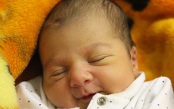 Algács Gergő Krisztofer