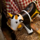 Lapos 2013.02.22. (péntek) (1) (Fotók: K. Balázs)