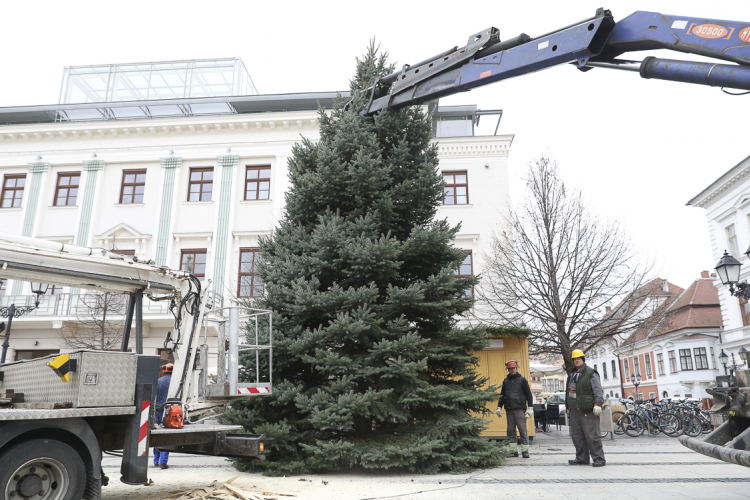 Városszerte helyeztek el karácsonyfákat Győrben