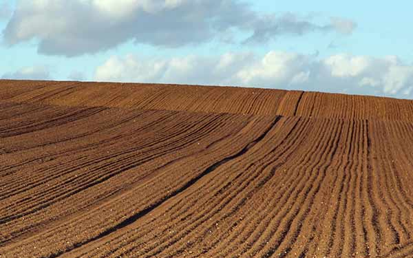 Földpályázati visszaéléseket gyanít Északnyugat-Dunántúlon a Jobbik