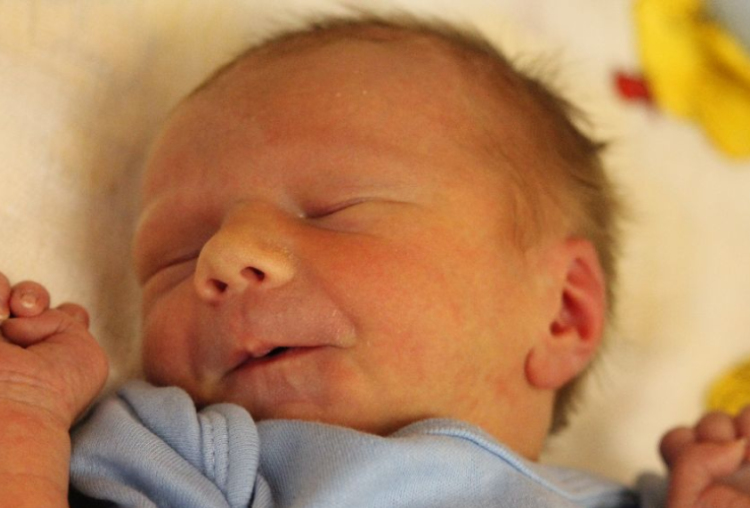 Homolya Levente Péter