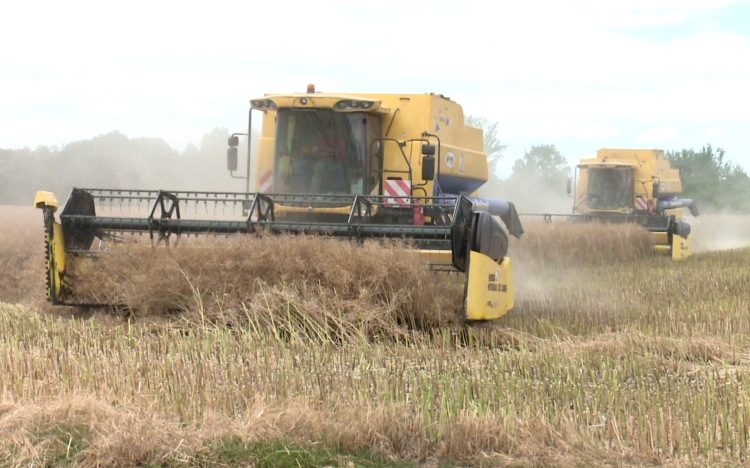 Az infláció mellett az aszály is sújtja a gazdákat