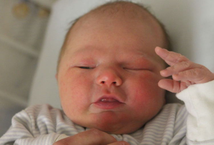 Győrig Dávid Csaba 