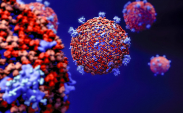 Koronavírus: Magyarországon 167-re nőtt a koronavírus-fertőzöttek száma, újabb idős ember halt meg