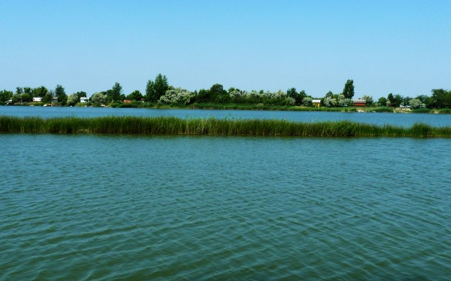 8 éves kisfiú fulladt bele az abonyi tóba