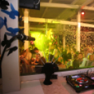 Club Mundo - All 4 Ladies 2014.07.12. (szombat) (Fotók: Mundo)