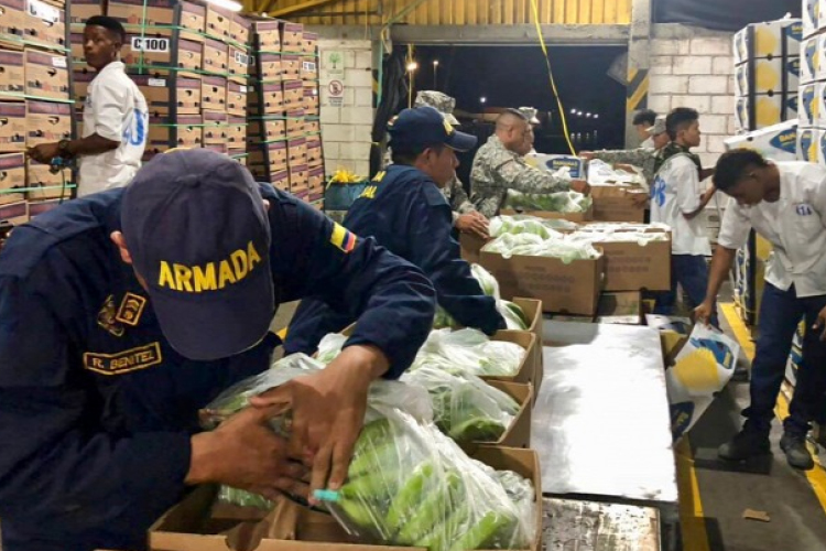 Banánszállítmányba csomagolt drogot foglaltak le