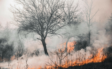 Tilos tüzet gyújtani