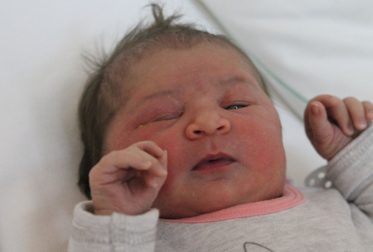 Lakatos Meláni Ibolya