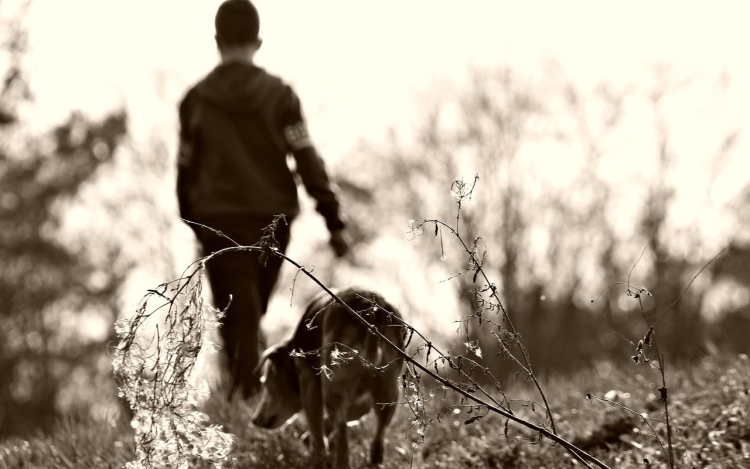 Ideje megkezdeni a kullancsok elleni védekezést