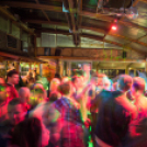 Lapos_Bulifotók_03_29