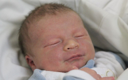 Heiner Nimród Csaba 