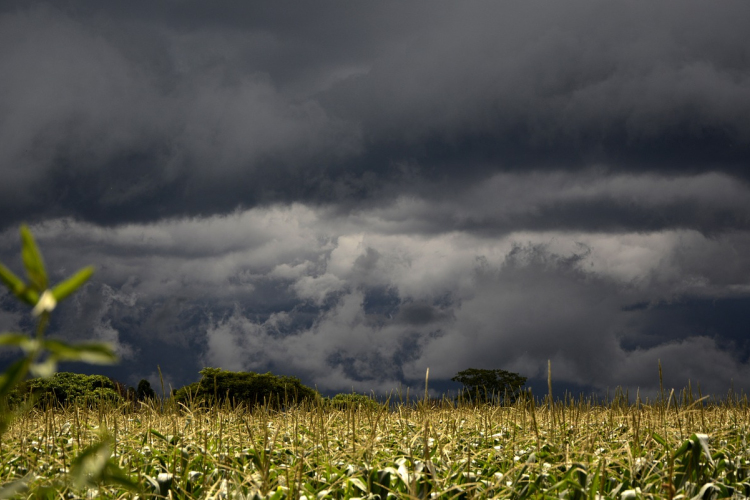 Búcsút inthetünk a nyárnak