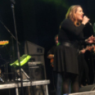 2017.10.28. Charlie 70. Születésnapi koncert Fotók:árpika 