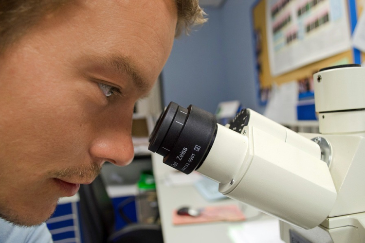 Az eddigi legrészletesebben tárták fel a vastagbélrák genetikai okait brit kutatók