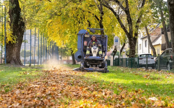 Megkezdődött a lombgyűjtés Győrben