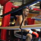 2013.02.16.Szombat Profi MMA És Box Mérkőzés Fotók:árpika