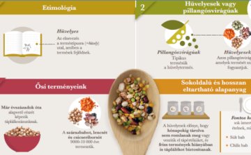 Nemzetközi hódítóúton a borsók és lencsék