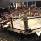 2015.05.09. Profi MMA Gála fotók:árpika