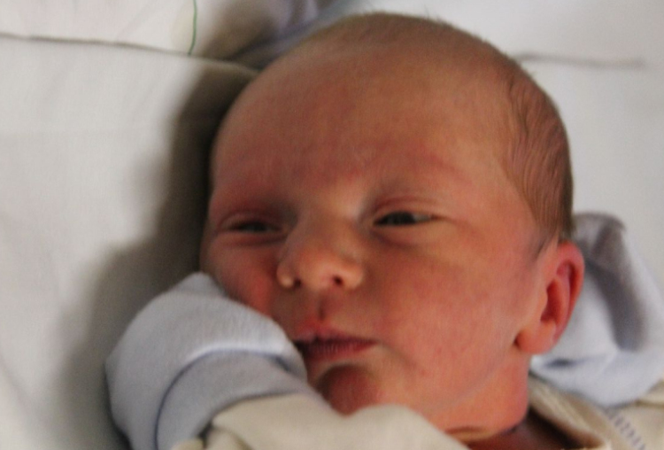 Vajda Botond Barnabás